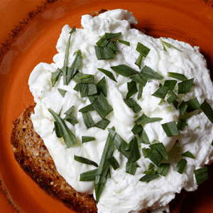 herbed-poached-egg-whites-on-wheat